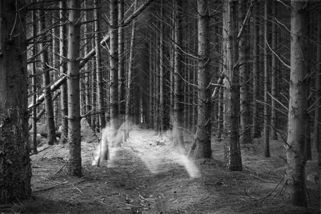 Photographie santé mentale - Aux Portes de lEnfer 12 Le duel des ombres et des lumieres