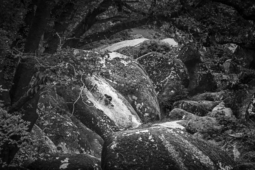 Photographie santé mentale - Aux Portes de lEnfer 21 Lascension