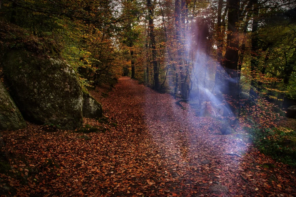 Exposition Esprit Libre - Esprit libre Chemin spirituel 11