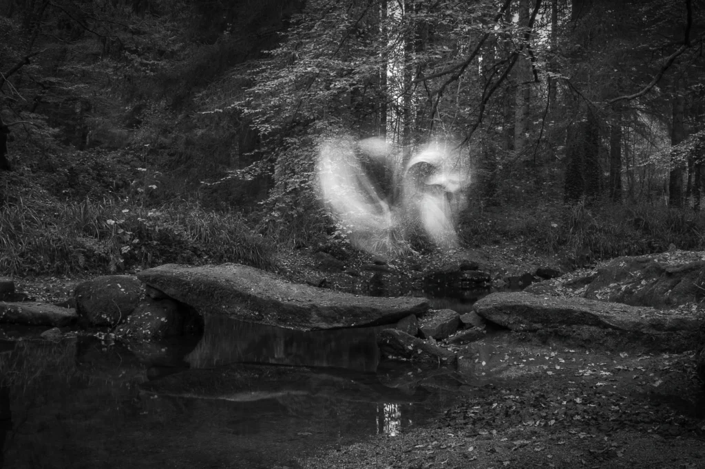 Exposition Esprit Libre - Esprit libre O doux reflet 12