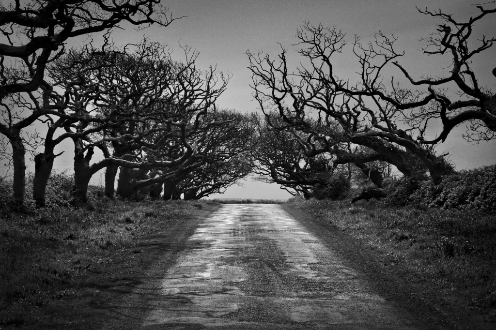 Exposition photo On the road - On the road 07 Sur la route de Kergroadez