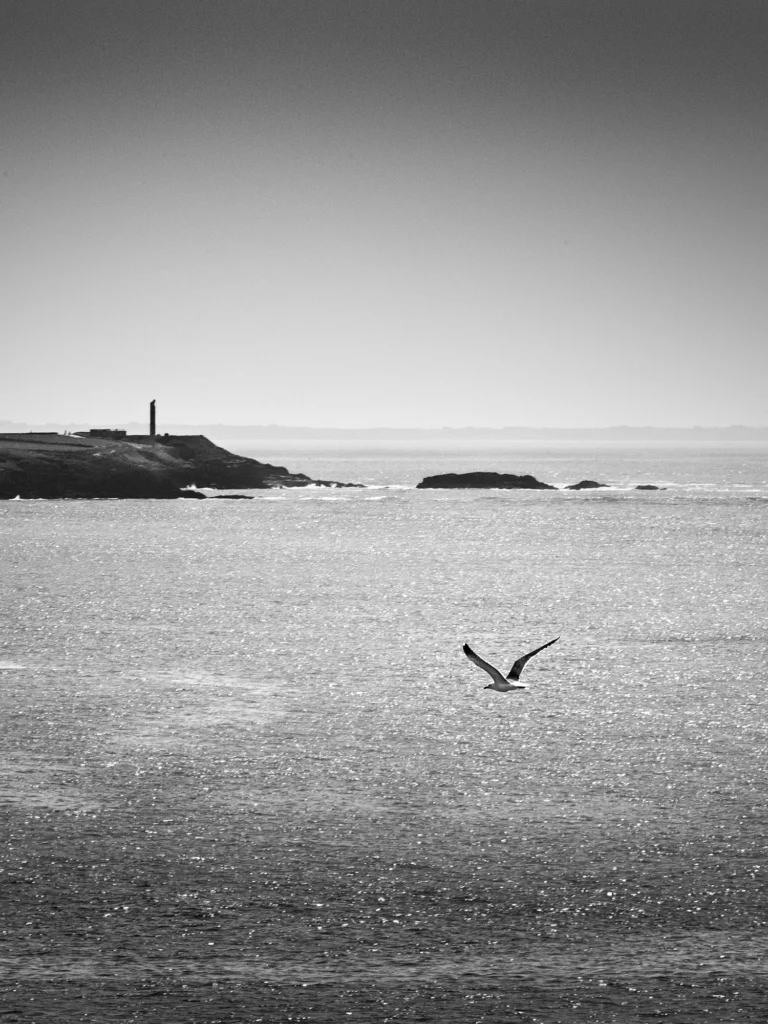 Paysages de Bretagne - Presqu ile de Kermorvan 5