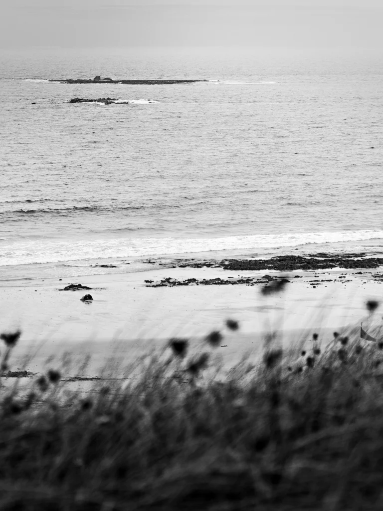 Paysages de Bretagne - Roscoff 1