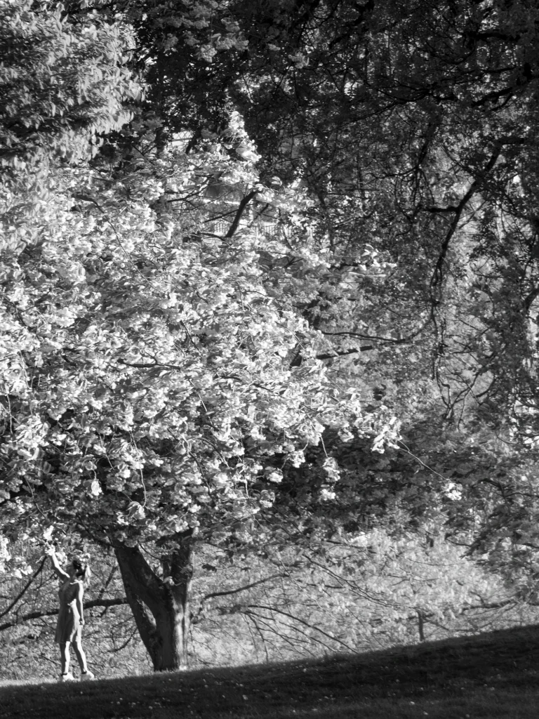 Photographe voyage Canada - Vents dOuest 16 0542 English Bay Beach 1